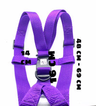 Load image into Gallery viewer, TILLY HARNESS SET