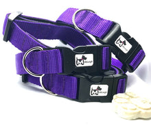 Load image into Gallery viewer, Tilly - Collars