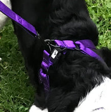 Load image into Gallery viewer, TILLY HARNESS SET