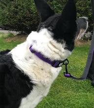 Load image into Gallery viewer, TILLY HARNESS SET