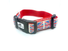 Load image into Gallery viewer, JUBILEE DOG COLLAR