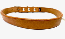 Load image into Gallery viewer, Henry - Classic leather collar
