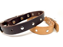 Load image into Gallery viewer, Rodney Rascal - Leather studded collar
