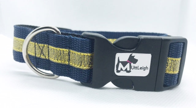 Gold and Blue dog collar