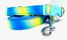 Load image into Gallery viewer, PEBBLE Dog collar and lead set
